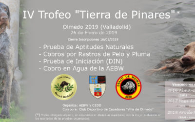 Olmedo 2019. PAN, RASTROS Y DIN. Asamblea Extraordinaria.