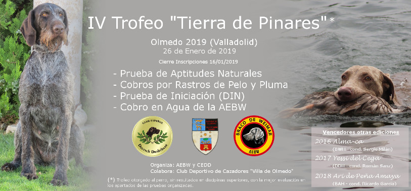 Olmedo 2019. PAN, RASTROS Y DIN. Asamblea Extraordinaria.