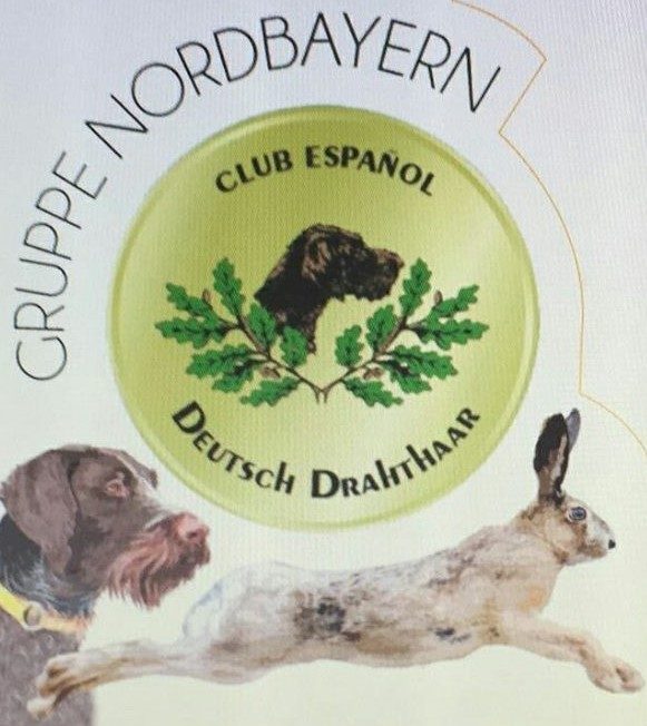 VJP 2019 CEDD. 9 y 10 de Marzo.