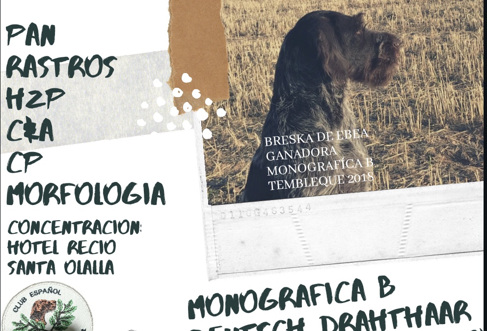 Monográfica B 2019. Santa Olalla (Toledo)