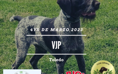 VJP 2023. 4 y 5 de Marzo en Toledo