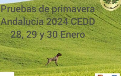 PRIMAVERA,28, 29 y 30 de Enero del 2024. Andalucía.