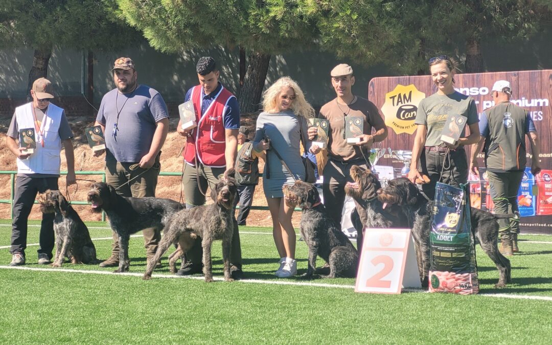 Meritorio 2º puesto del equipo de D. Drahthaar en la copa de España de Caza Práctica.