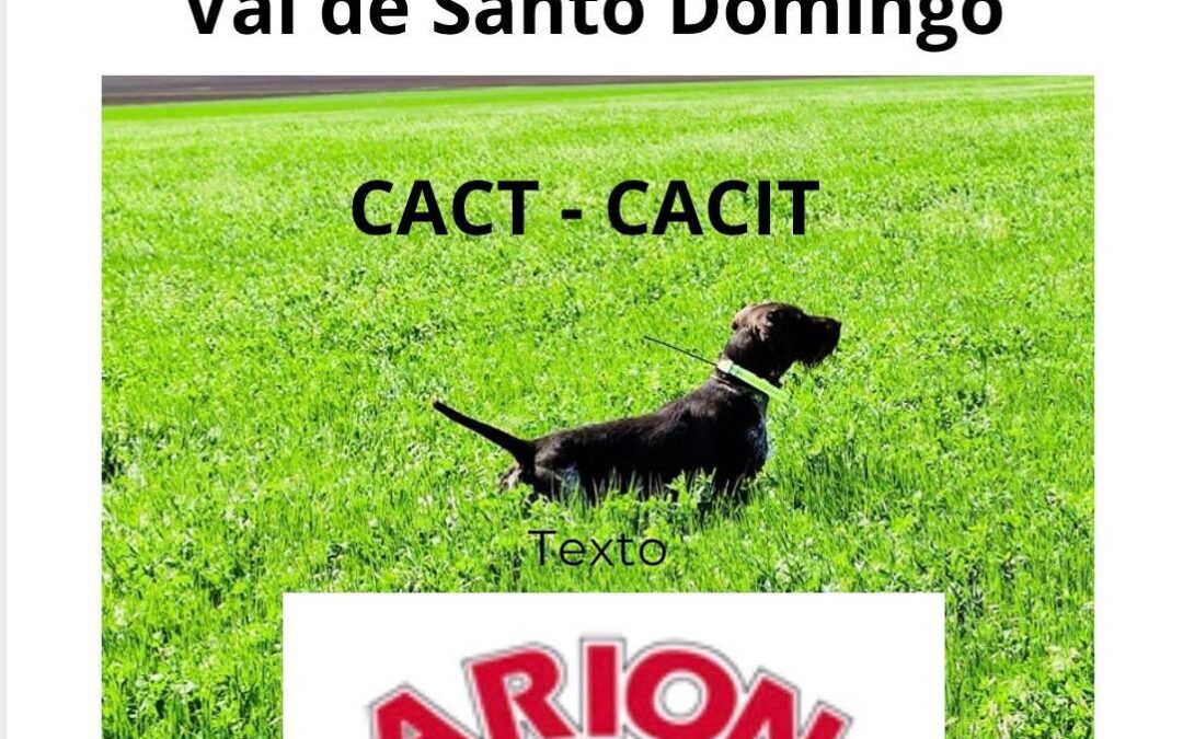 Primavera CEDD. 9, 10 y 11 Febrero del 2026. Val de Santo Domingo (Toledo)