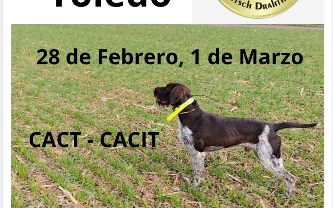 Inscripción Pruebas de Primavera 2026(CACT-CACIT) CEDD 2026. (Toledo) Val de Santo Domingo.  28 de Febrero. 1 de Marzo.