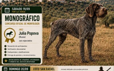 Monfráfica B 2026. Drahthaar y Pachones. Badolatosa (Sevilla) 19-20 Septiembre.
